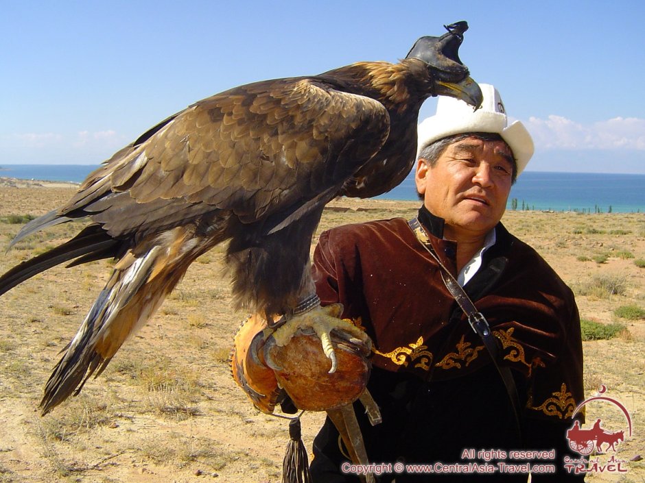 Кыргыз с Беркутом