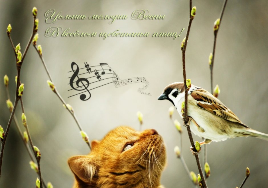 Роющие птицы на морозе