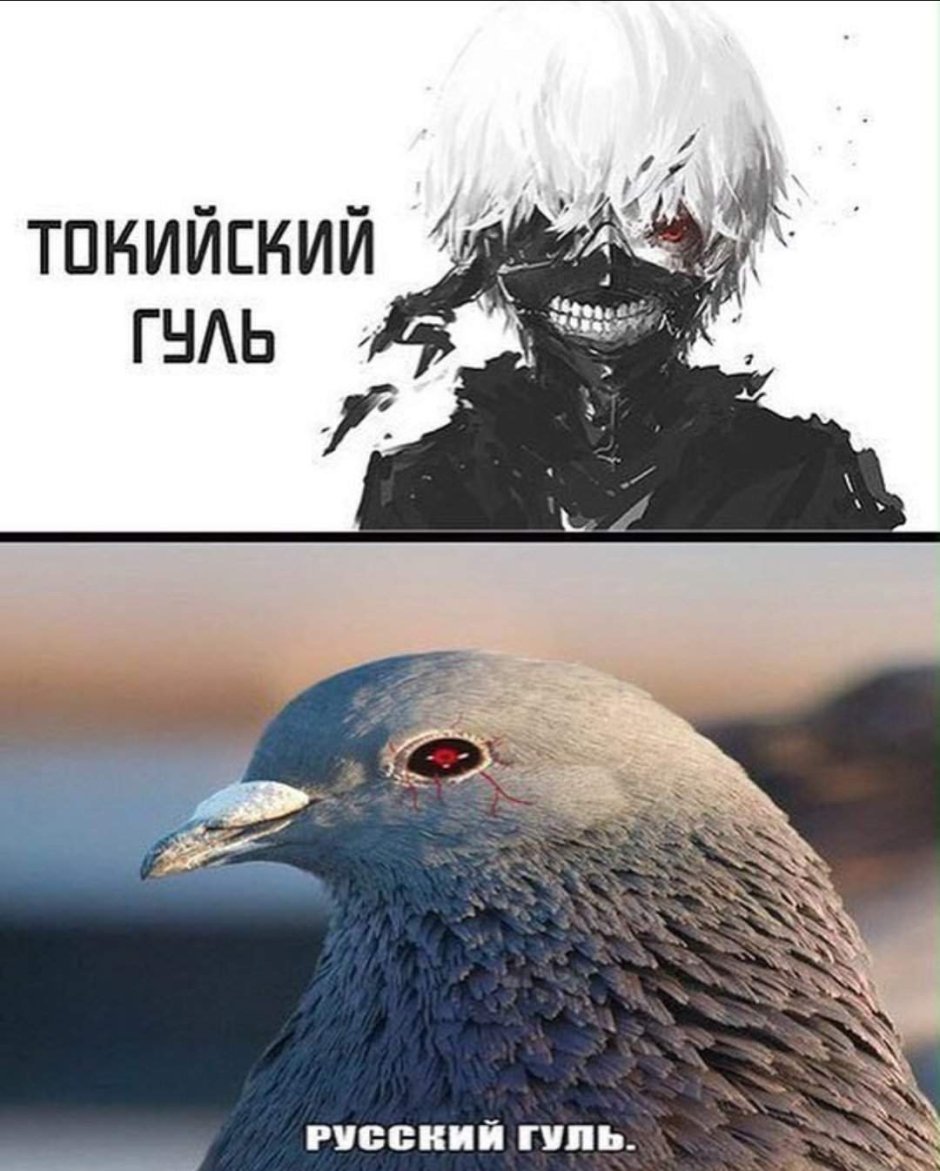 Юмор про птиц