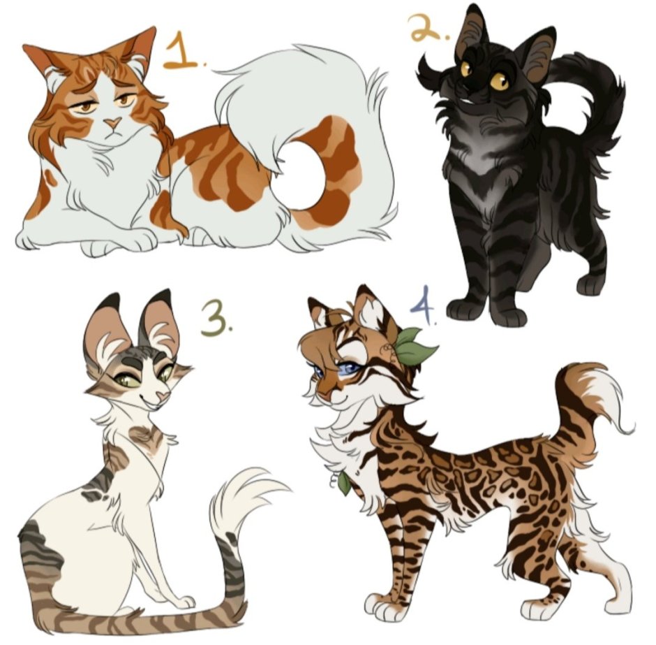 Гетерохромия глаз у кошек