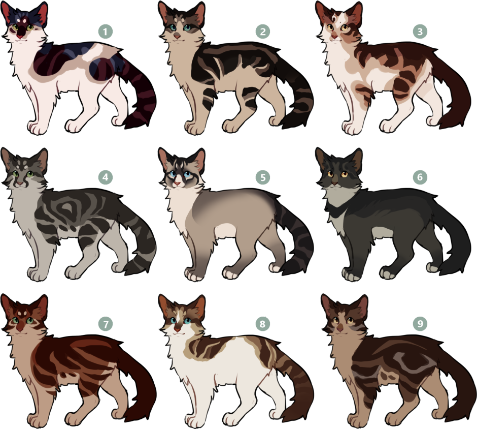 Коты Воители окрасы