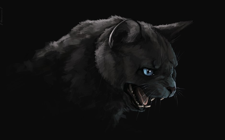 Злая кошка