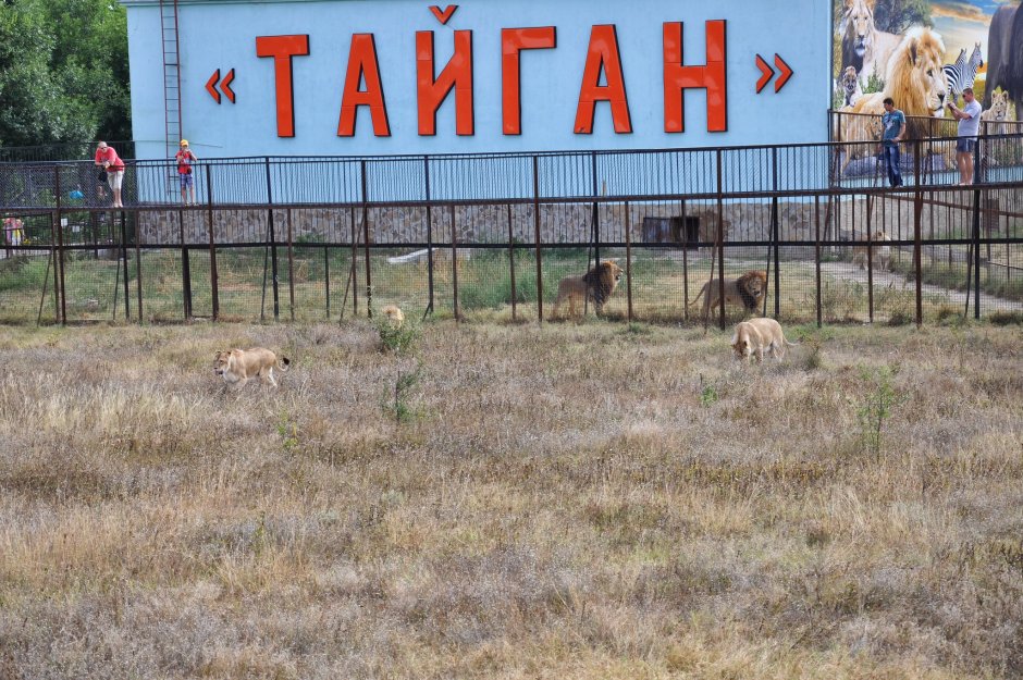 Парк Тайган Крым