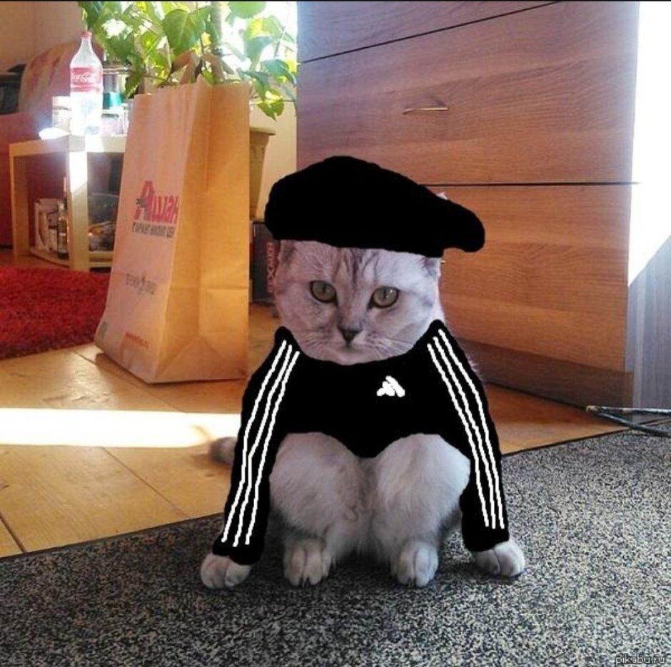 Смотри сынок Мем