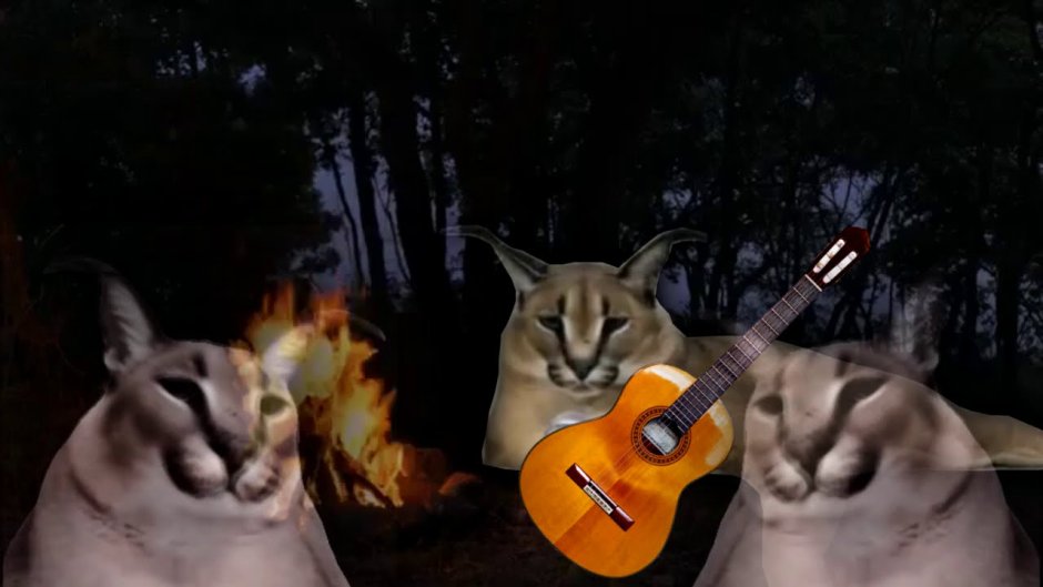 Прикольные коты мемы