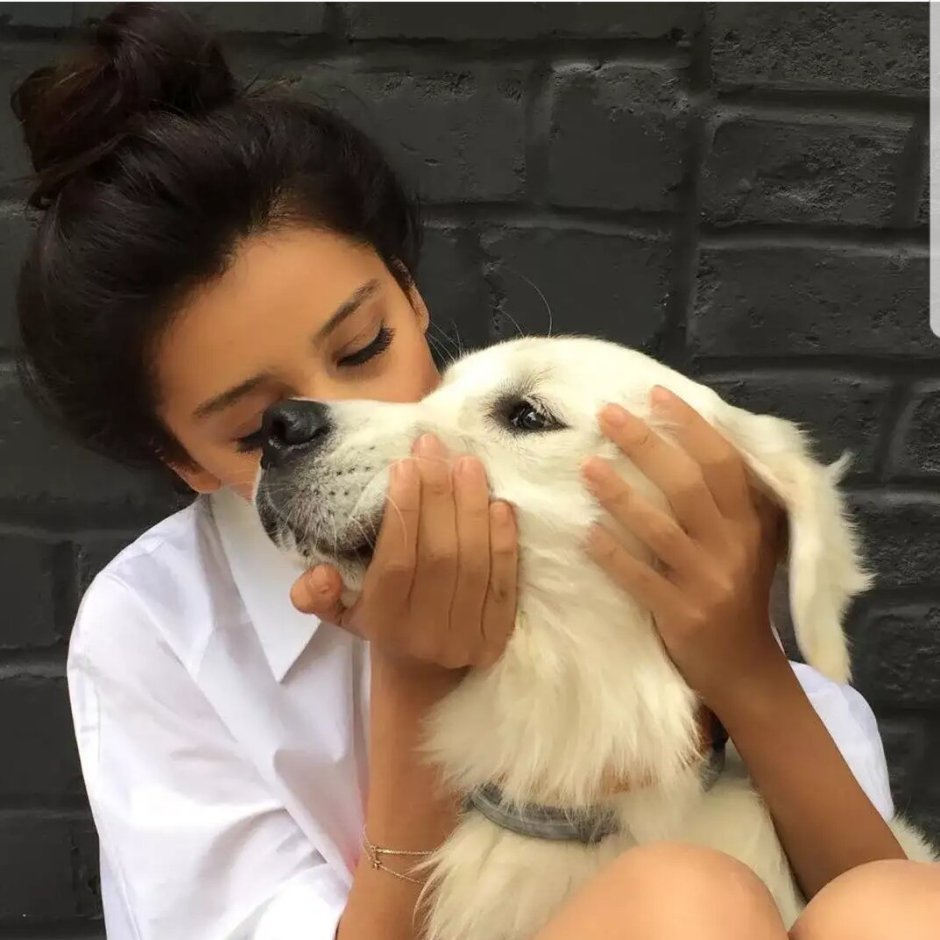 Доброе утро с собачками