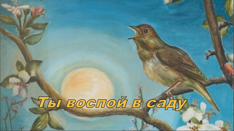 Птичка serce