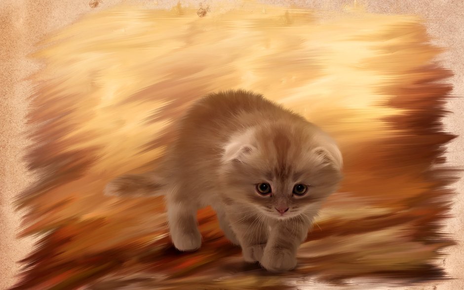 Скоттиш страйт рыжий котенок