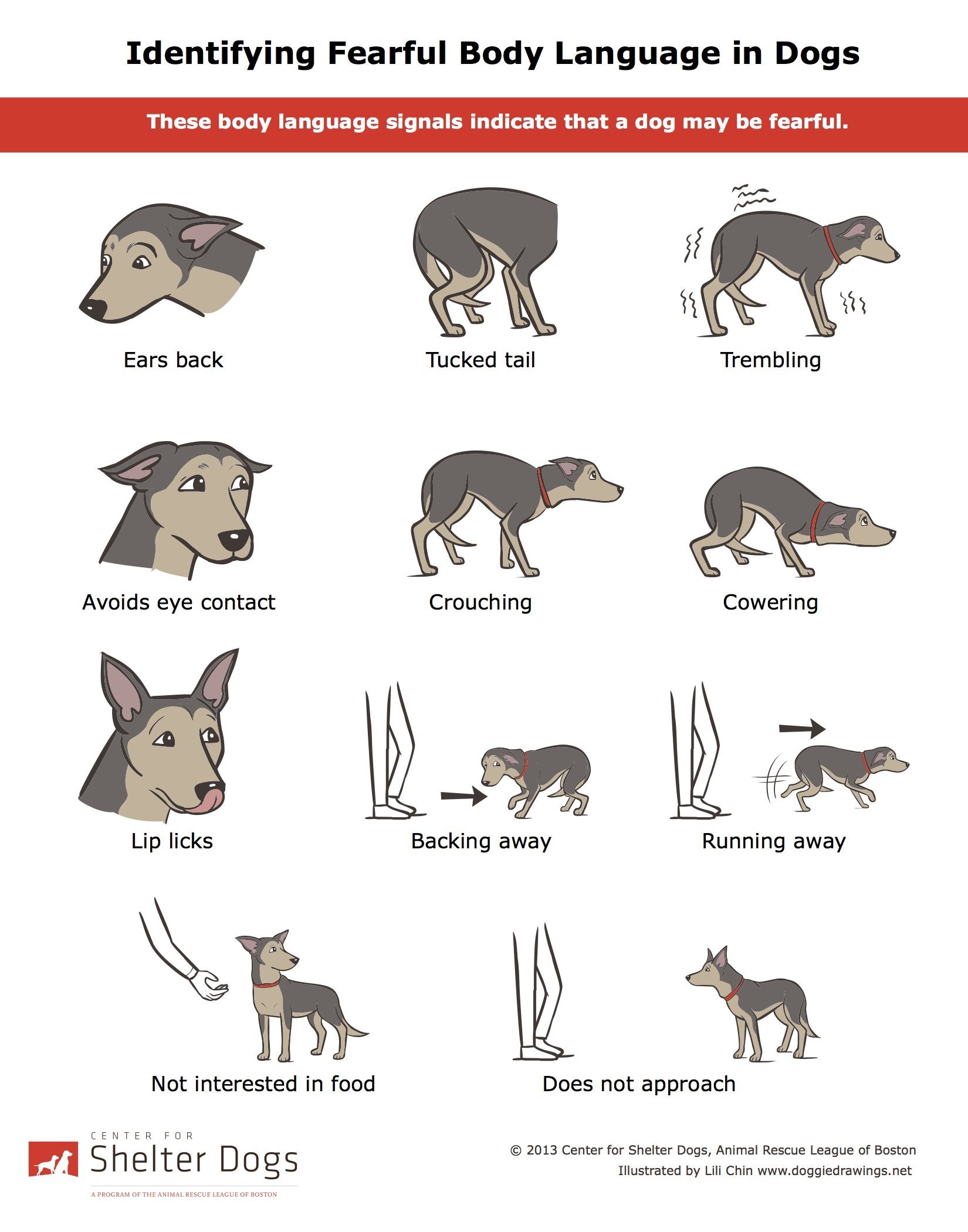 Тест на знание собак. Язык тела собаки как понять. Язык жестов собак. Как понять поведение собаки. Как понять жесты собаки.