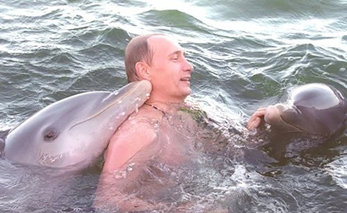сколько длится оргазм у дельфинов фото 71
