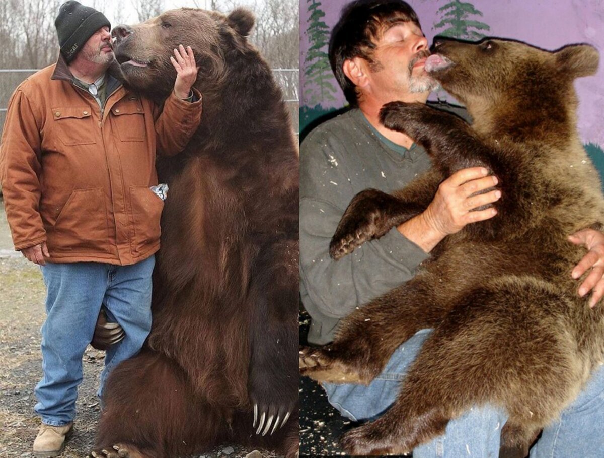 Почему маша дружит с медведем. Джим Ковальчик и 22-летний медведь Джимбо. Джим и Джимбо крепкая Дружба человека и медведя.