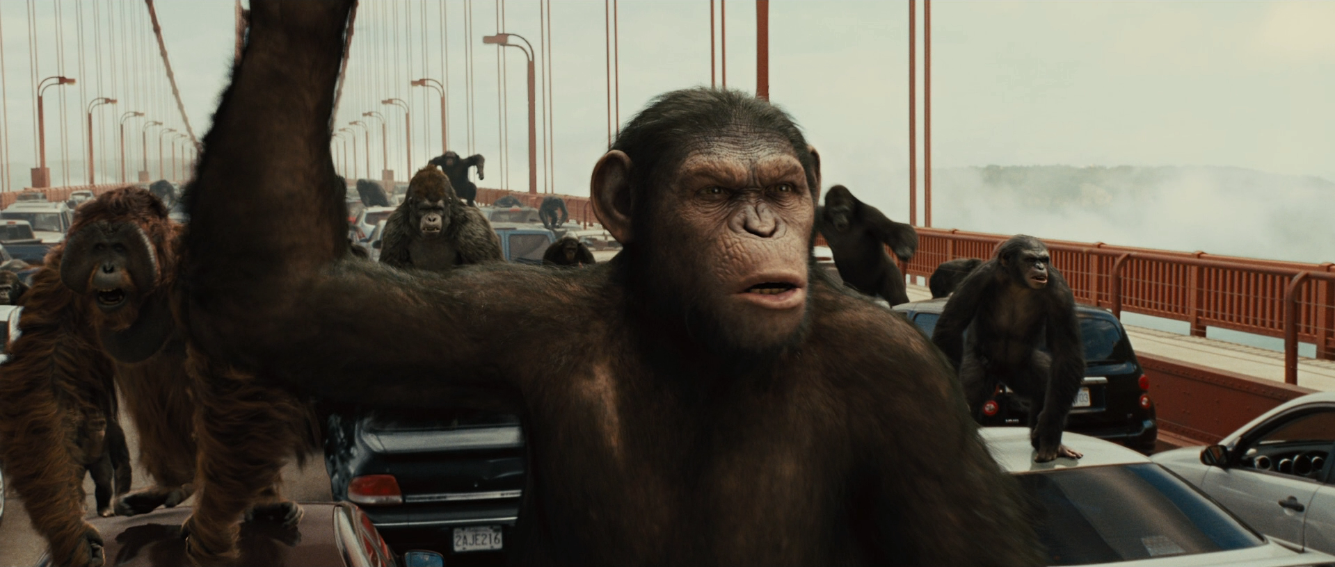 Нашествие обезьян. Восстание планеты обезьян 2011. Восстание планеты обезьян Джон Литгоу. Восстание планеты обезьян 1.