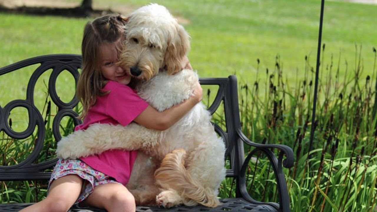 Отличный день стать собакой 3. Собака друг человека. Любовь к животным. Обнимает собаку. Ребенок обнимает собаку.