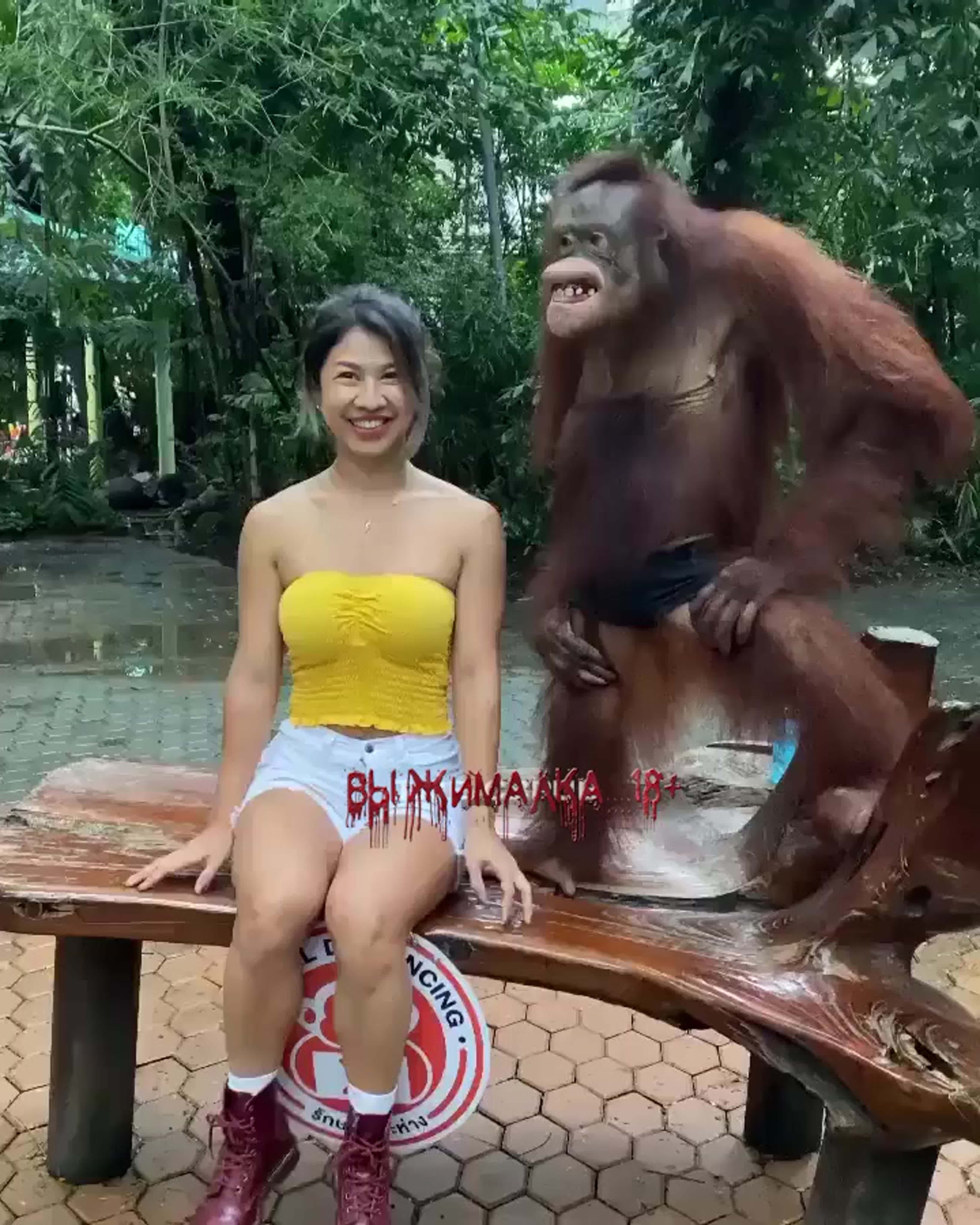 шимпанзе трахает девку фото 110