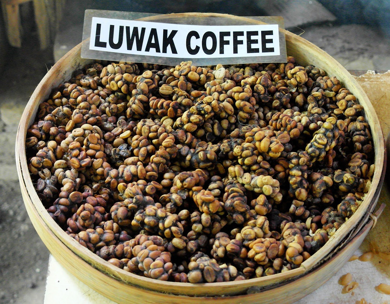Дорогой кофе из помета животных. Вьетнамский кофе Лювак. Лювак Бали. Лювак малазийский. Сорт кофе копи Лювак.