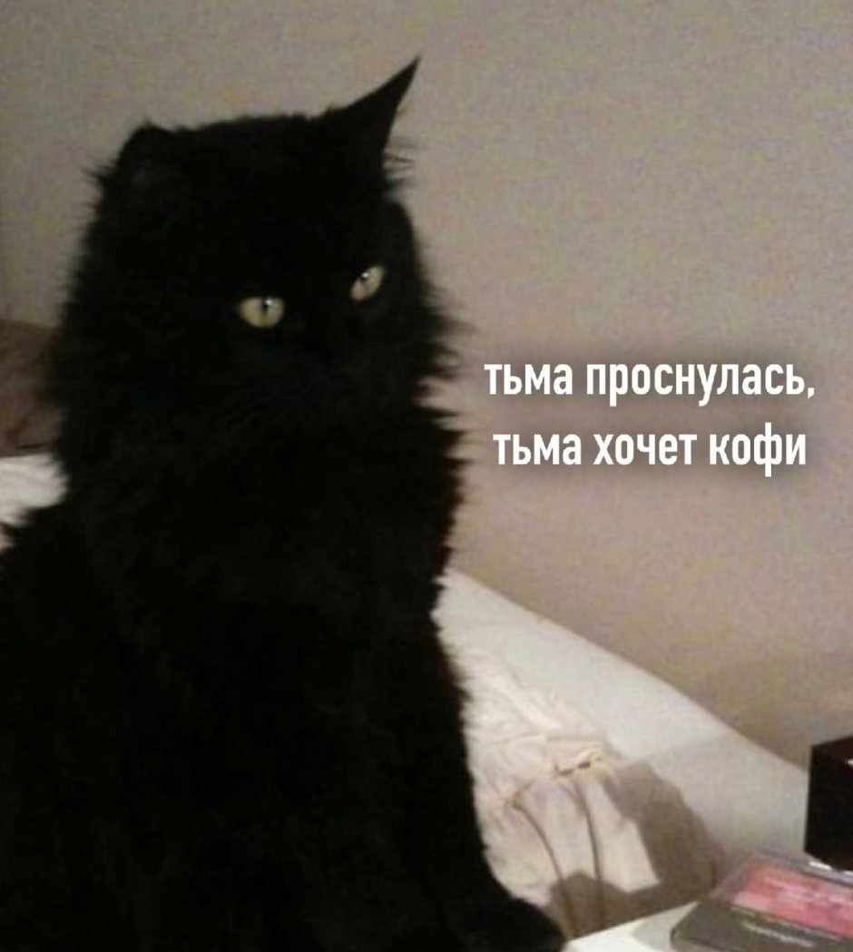 Мейн кун черный