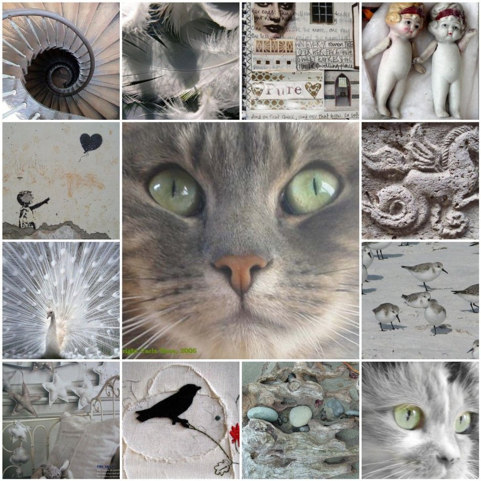 Пикчи с котиками