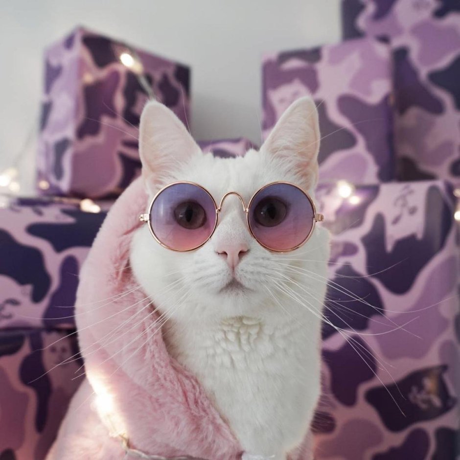 Уютные кошки