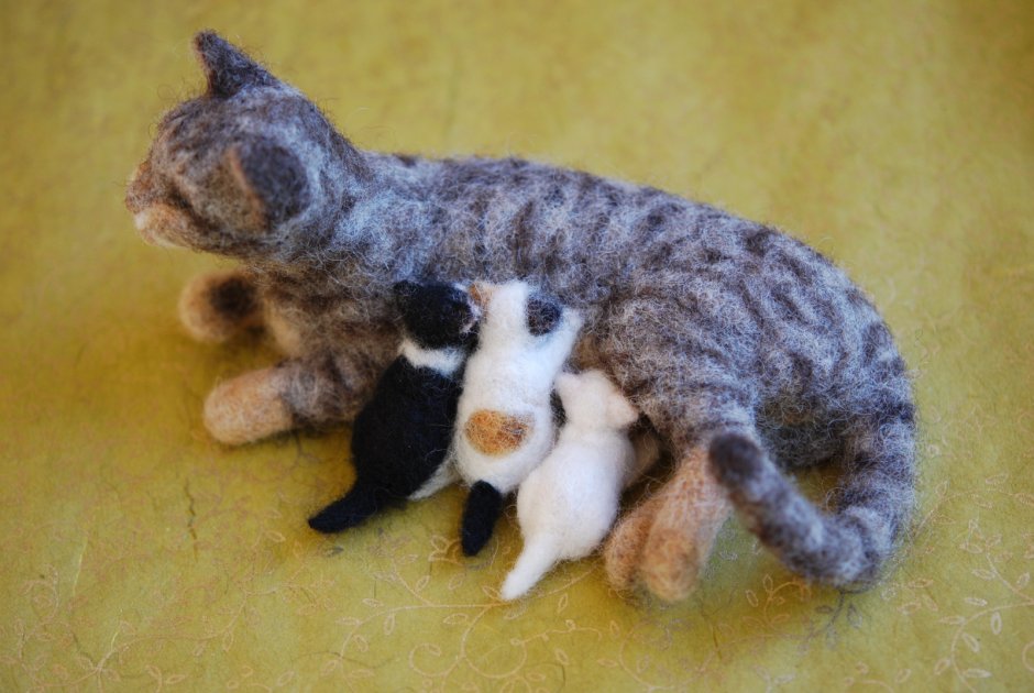 Кот серый