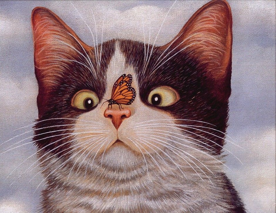 Животные Эстетика кот