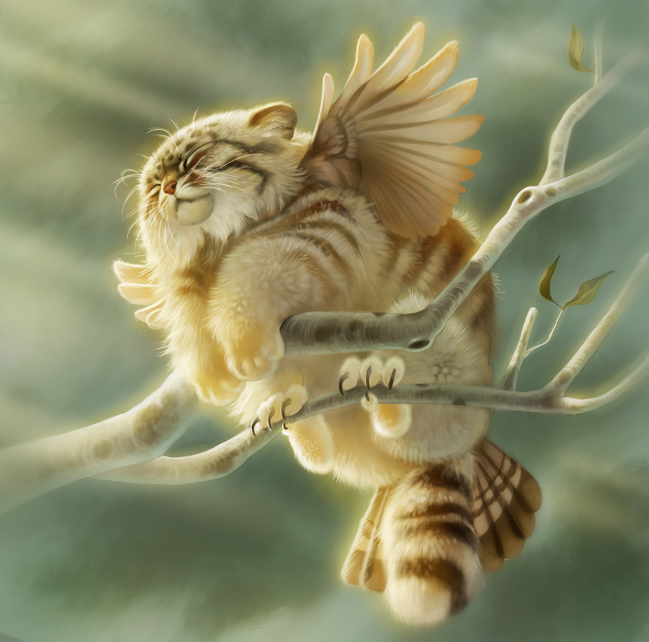 Кот с крыльями