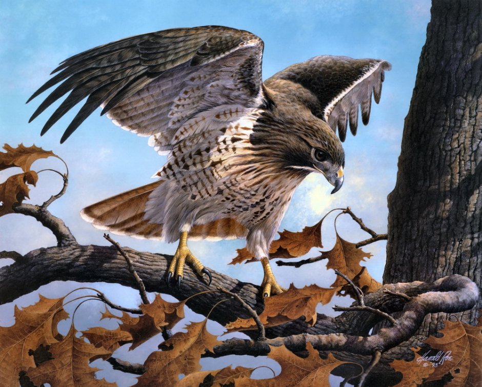 Орёл Сокол Беркут в живописи маслом