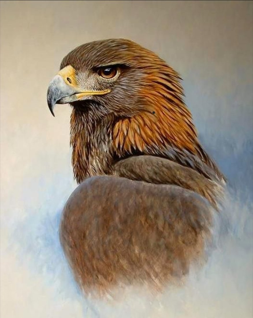 Девушка с совой