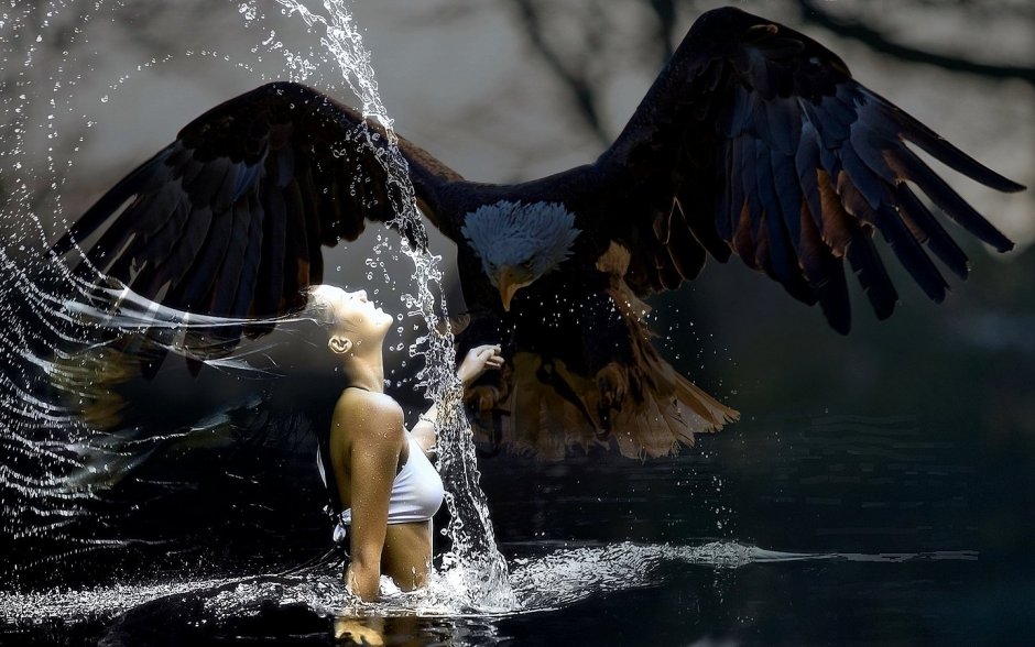 Орлан белохвост Джергинский заповедник