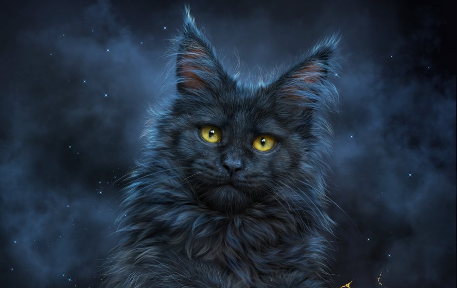 Чёрный кот арт