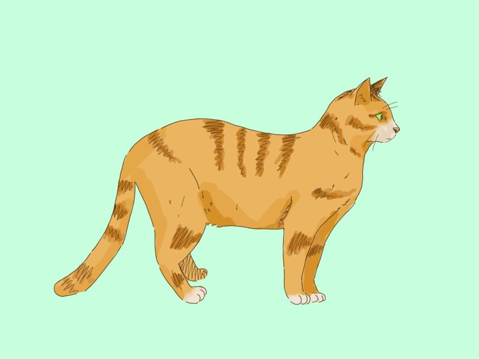 Мультяшный кот
