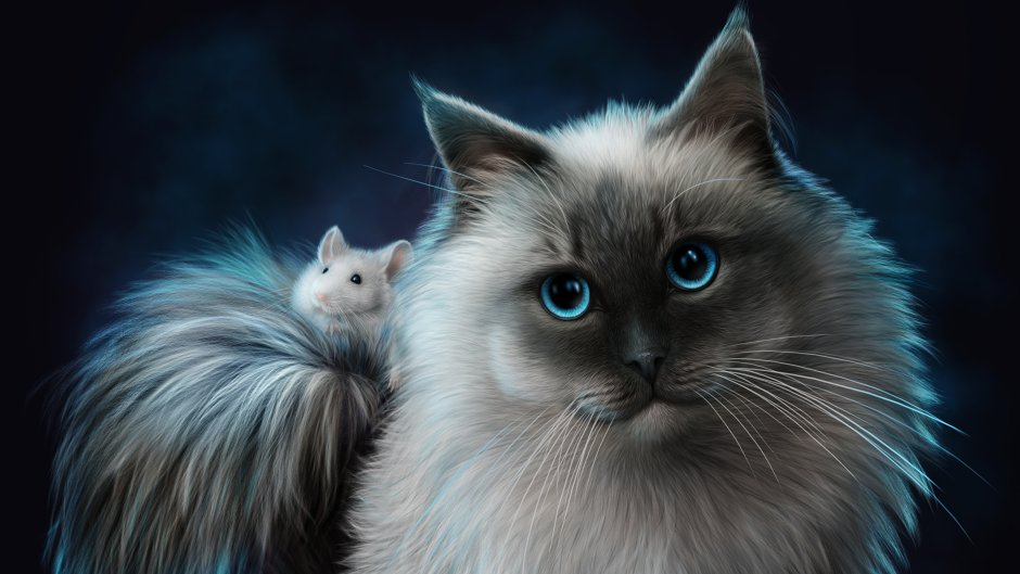 Невская маскарадная кошка