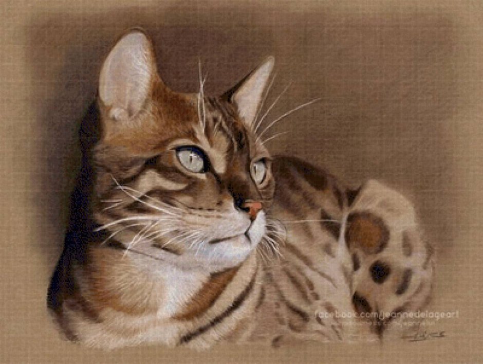 Бенгальский кот акварель