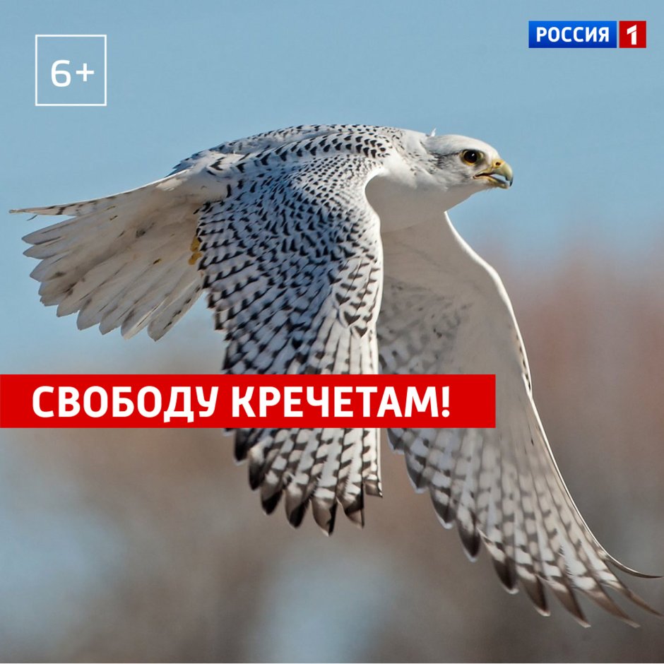 Украинский олигарх Кречет и его девушки