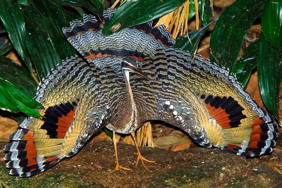 Утка Мандаринка игрушка