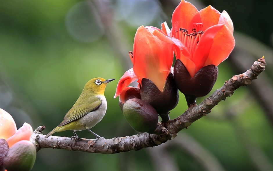 Телевизор Horizont 49le7162d 49" (2017)