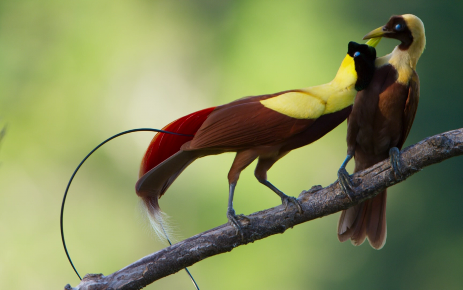 Пляжи Сейшельских островов