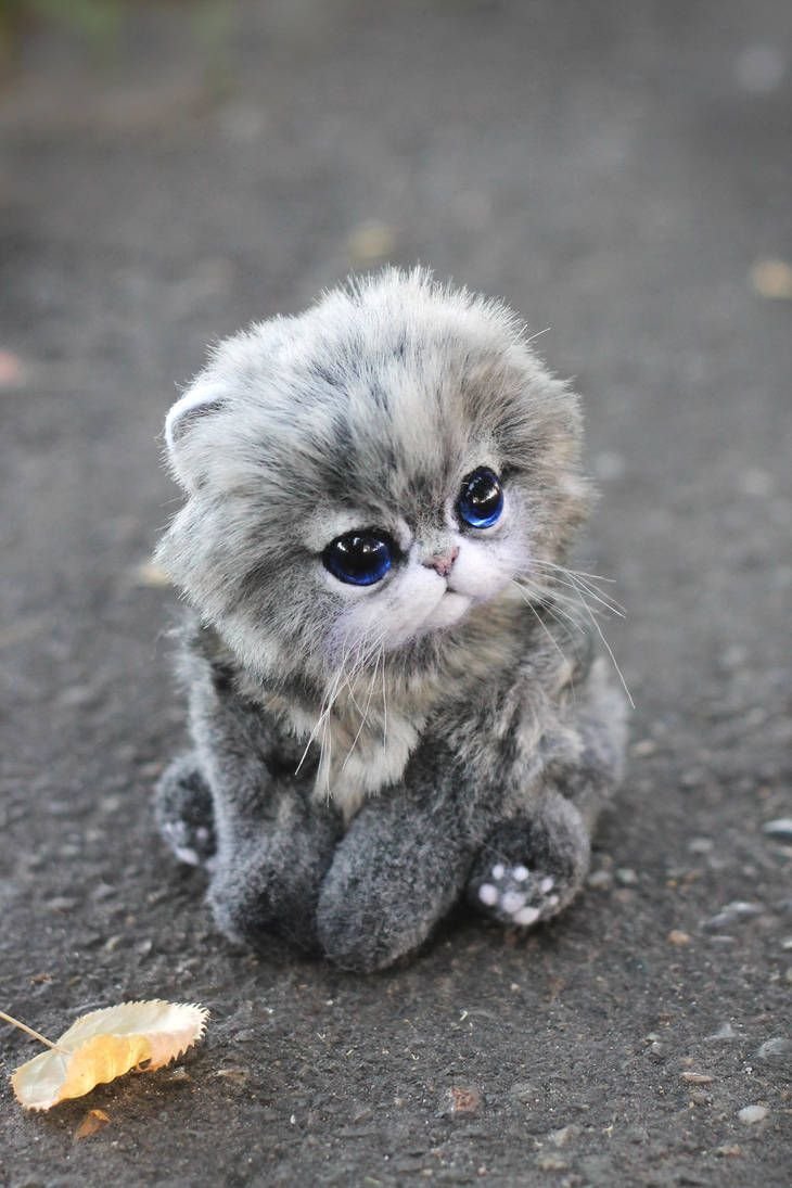 Маленькие котики