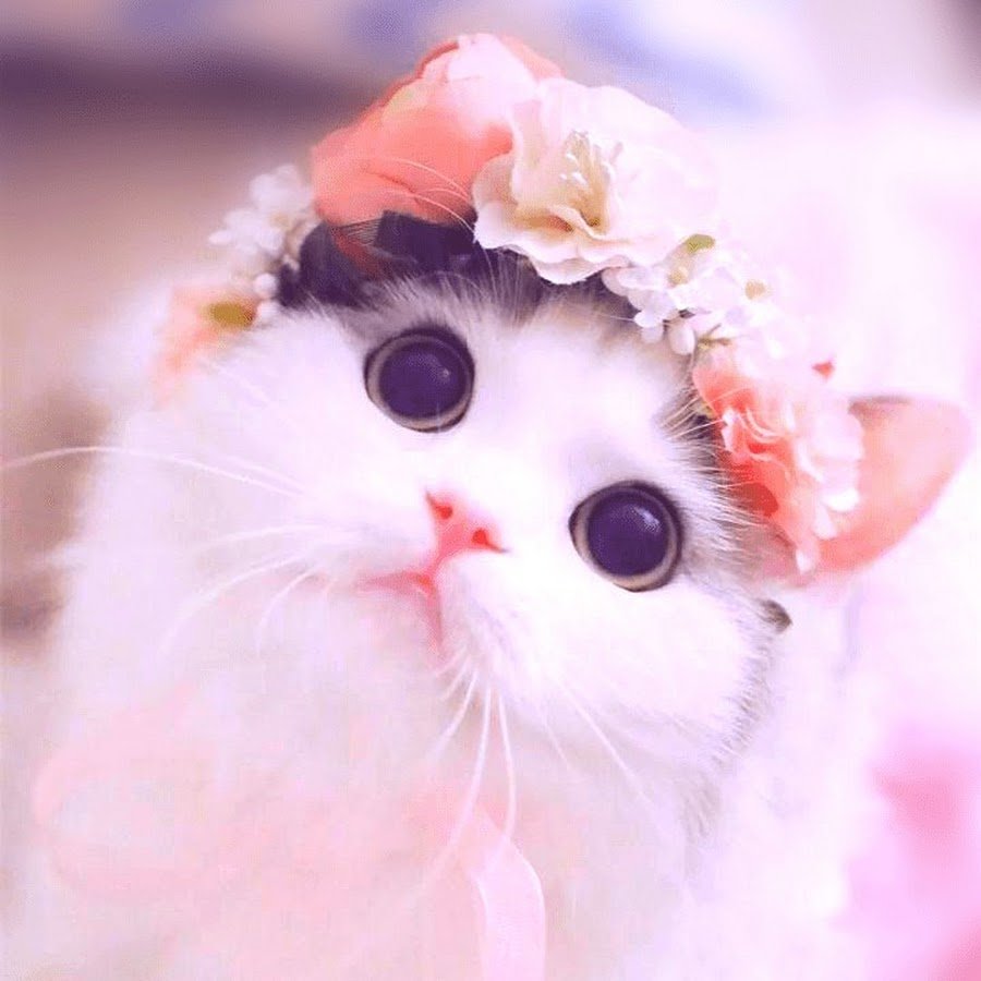 Милые фоточки