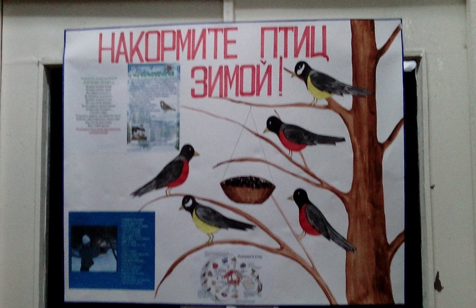 Клёст птица описание