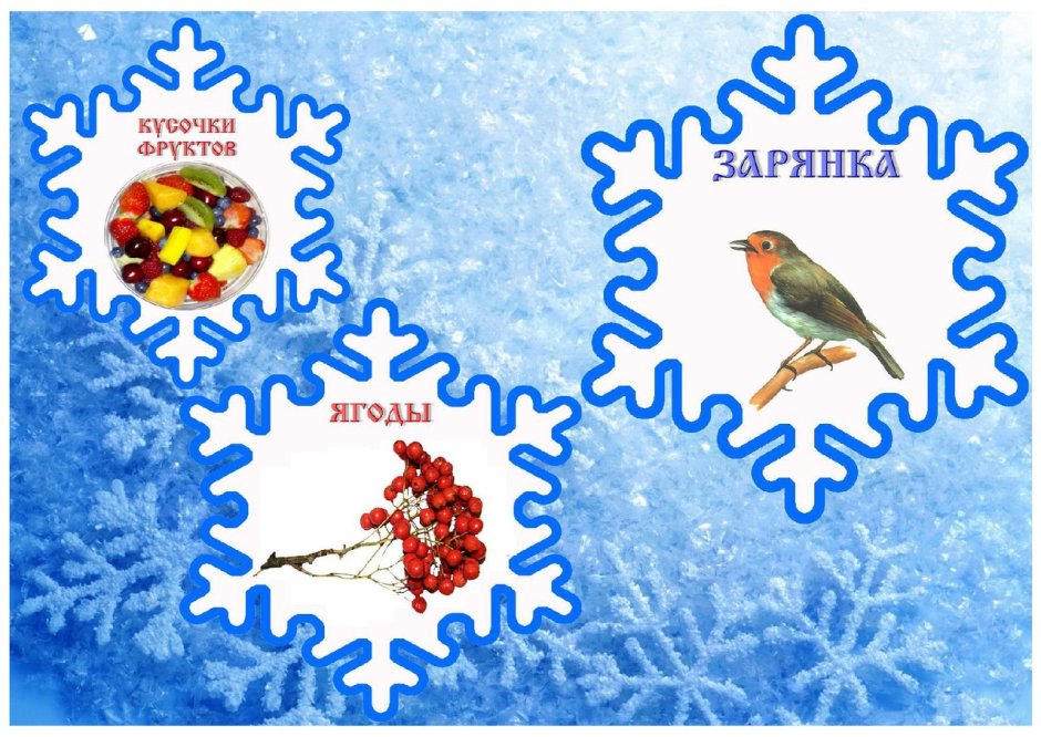Птицы в зимнем лесу