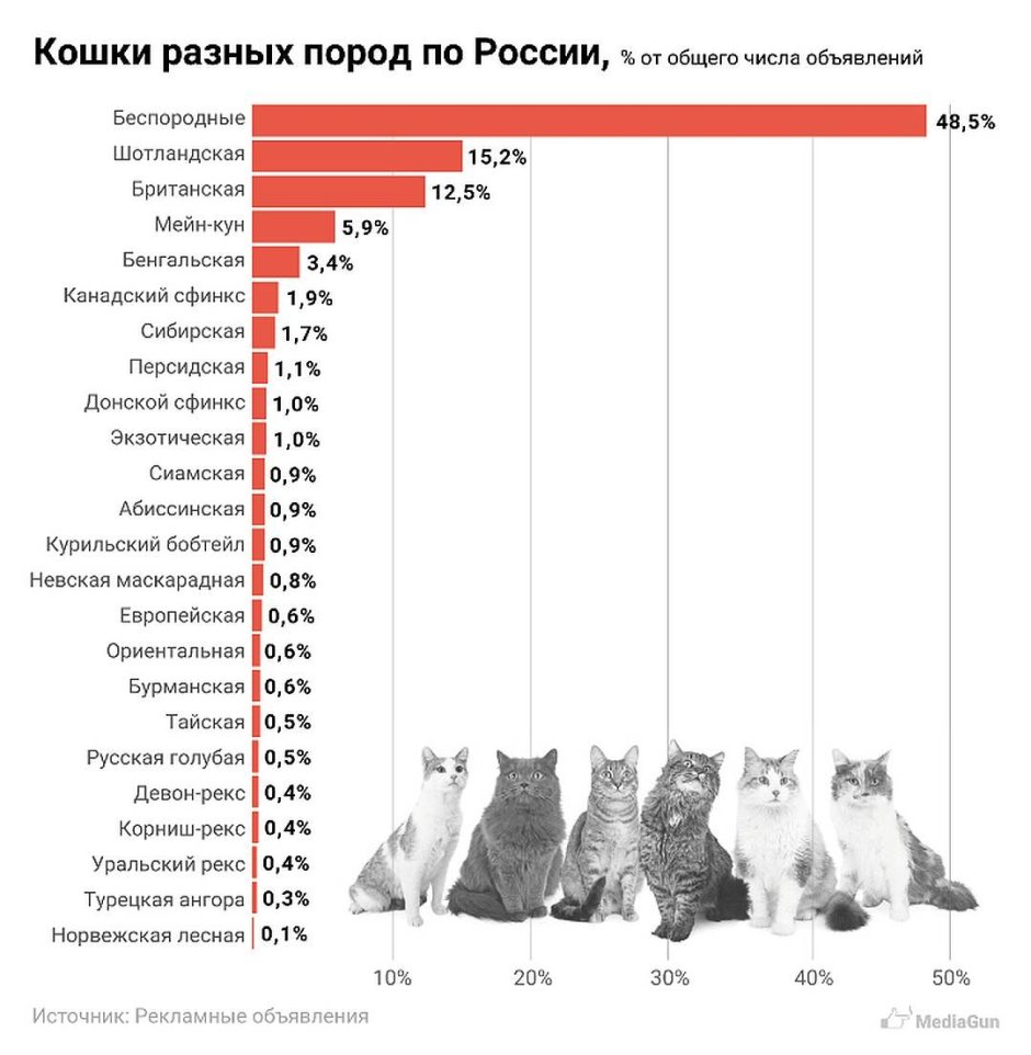 Самые популярные домашние животные в России