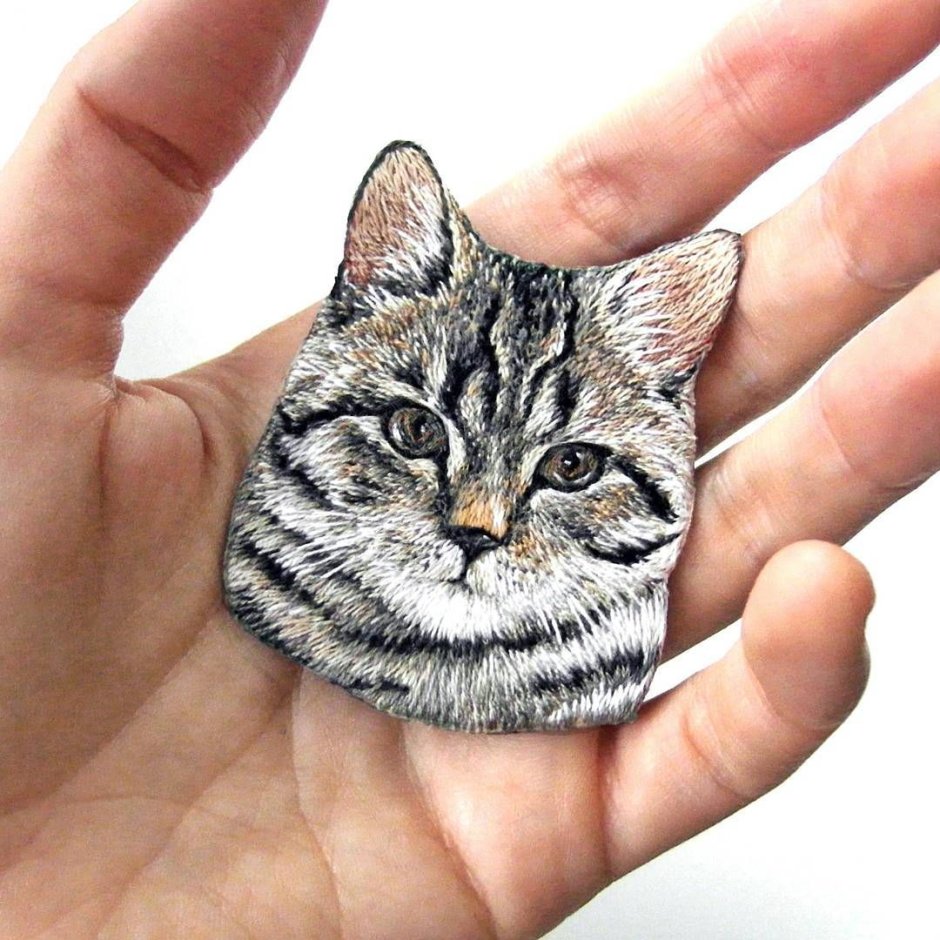 Эстетика с котами