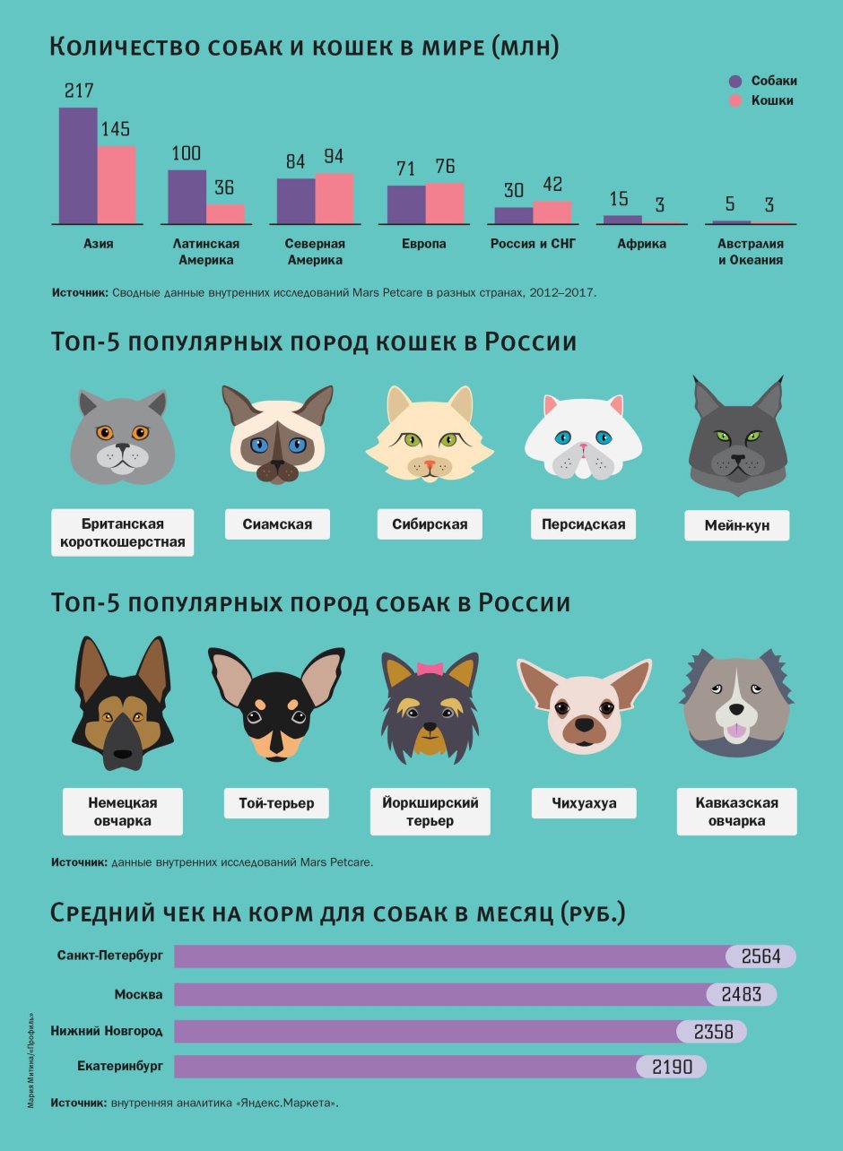 Популярность домашних животных