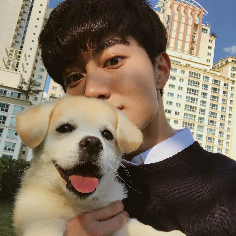 Ким Хен Джун с собаками