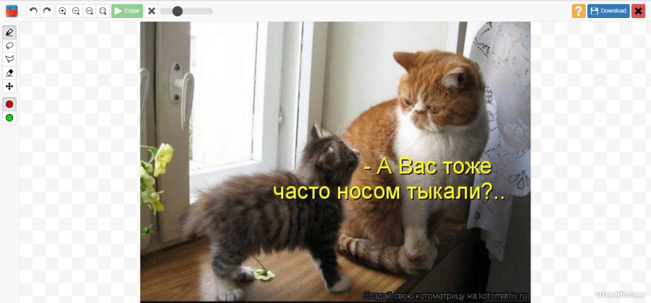 Я почти засмеялся
