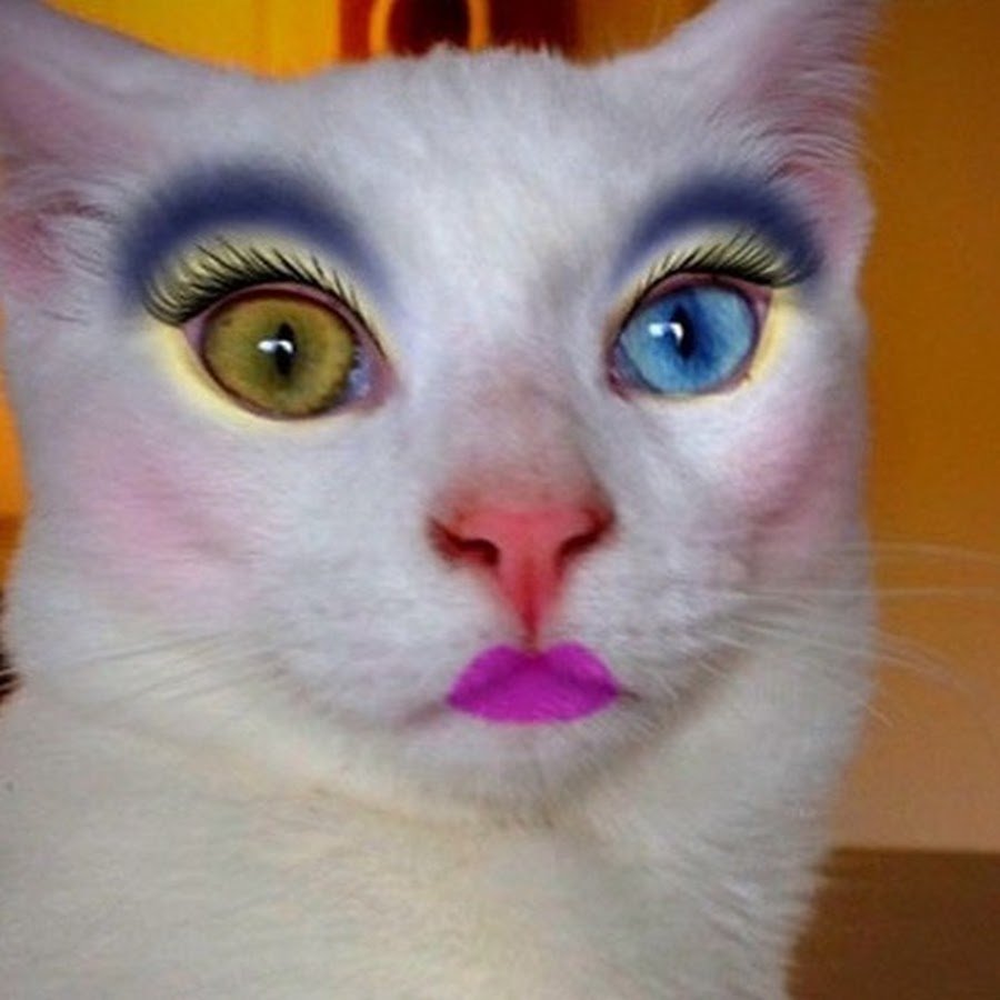 Макияж кошки