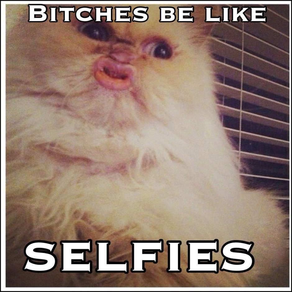 Кот с человеческими губами