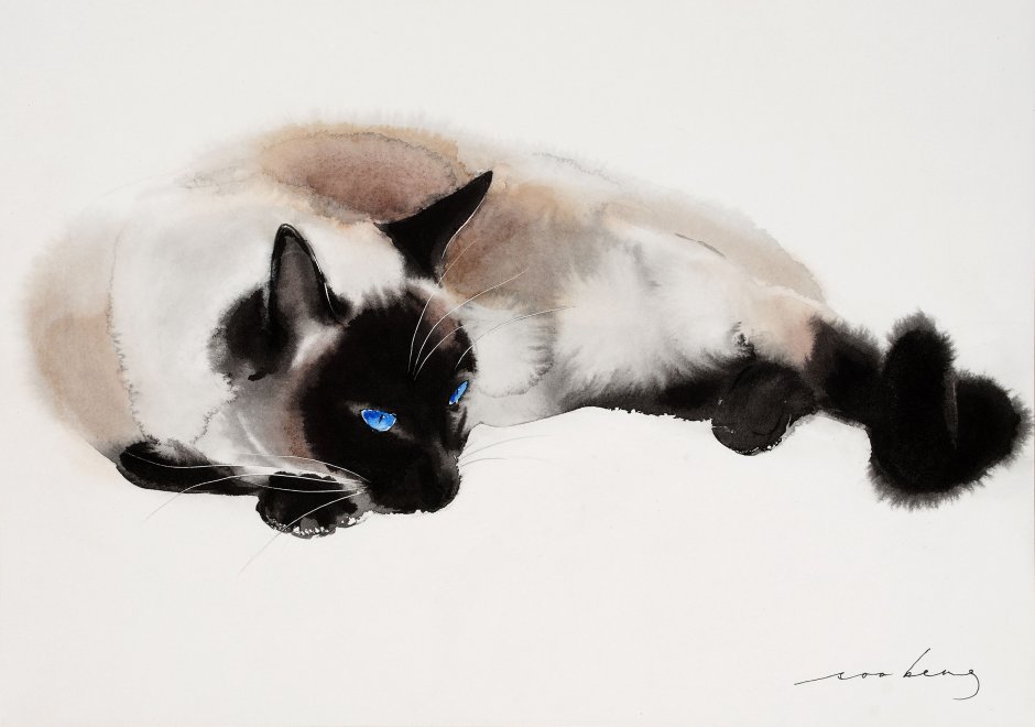 Балинезийская кошка