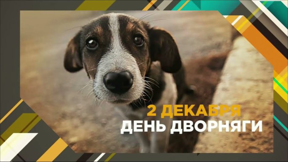 День беспородной собаки