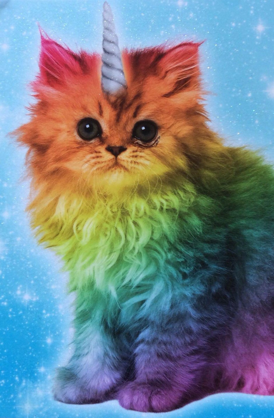 Разноцветная кошка